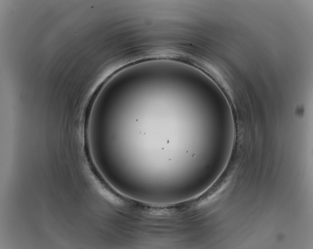 X0000091500843200708161457