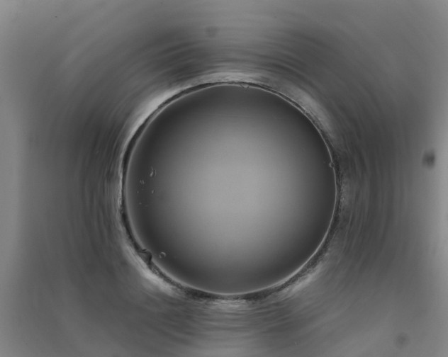 X0000091500844200708161457