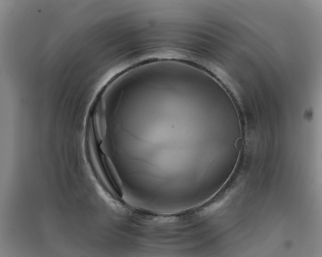 X0000091500845200708161457