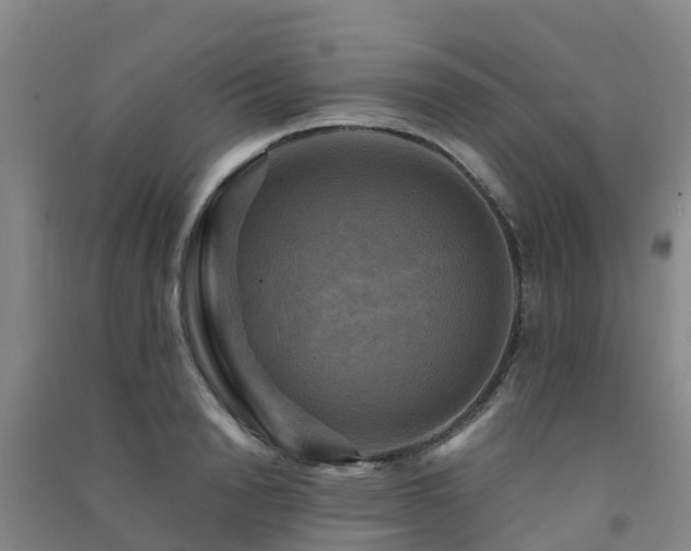 X0000091500846200708161457
