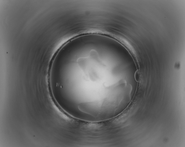 X0000091500847200708161457