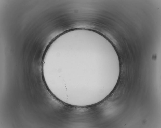 X0000091500848200708161457
