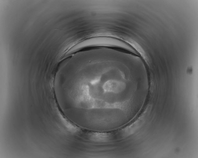 X0000091500849200708161457