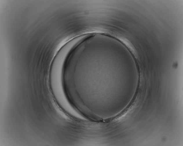 X0000091500850200708161457