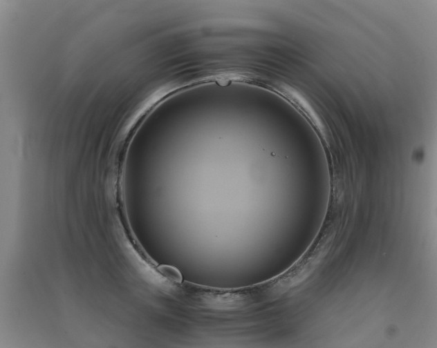 X0000091500851200708161457