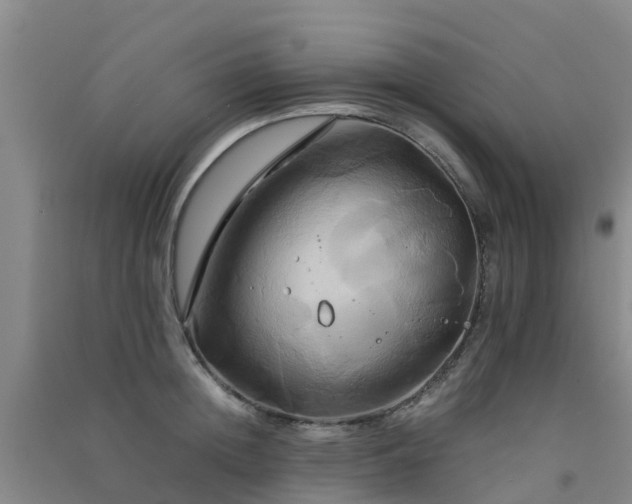 X0000091500852200708161457