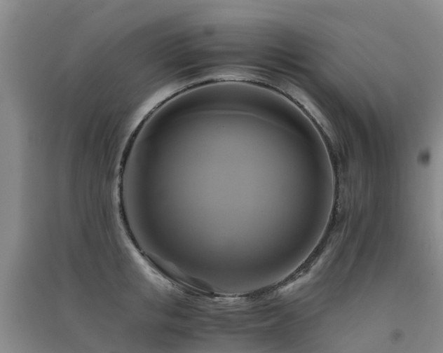 X0000091500853200708161457