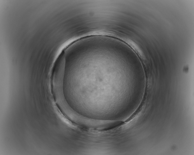 X0000091500854200708161457