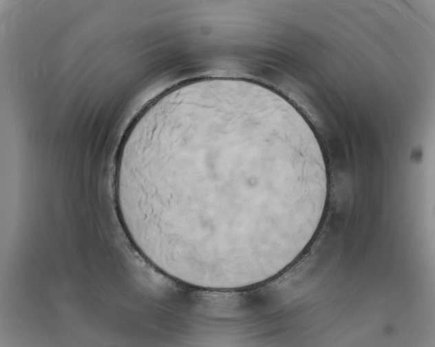 X0000091500856200708161457