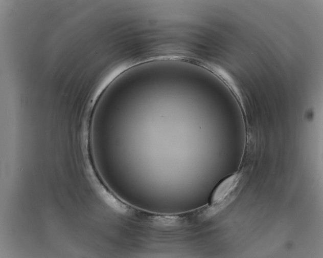 X0000091500859200708161457