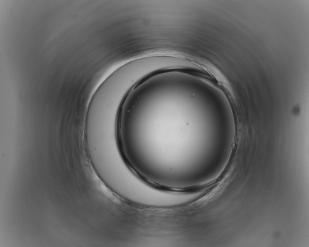 X0000091500860200708161457