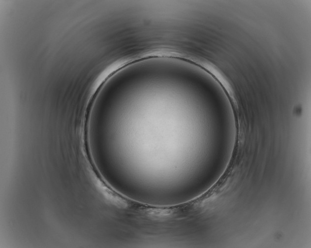 X0000091500861200708161457
