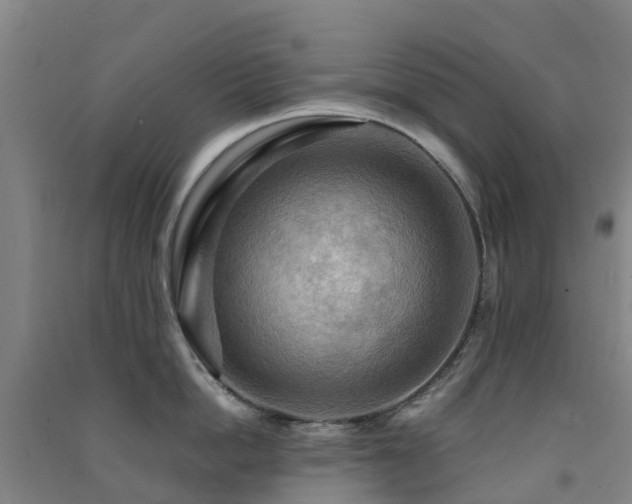X0000091500862200708161457