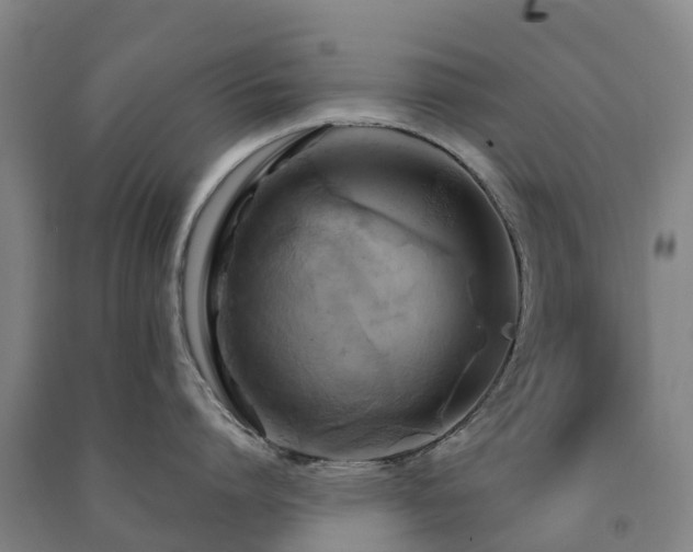 X0000091500864200708161457