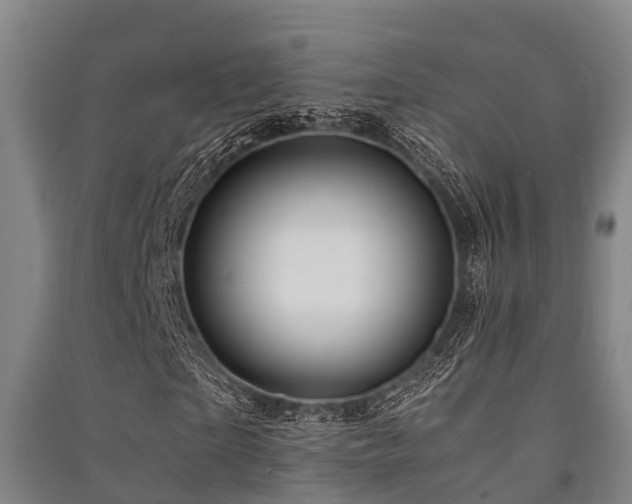 X0000091500865200708161457