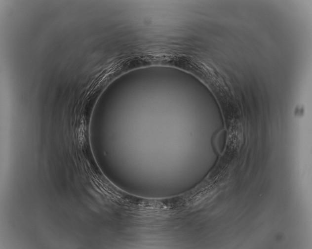 X0000091500866200708161457