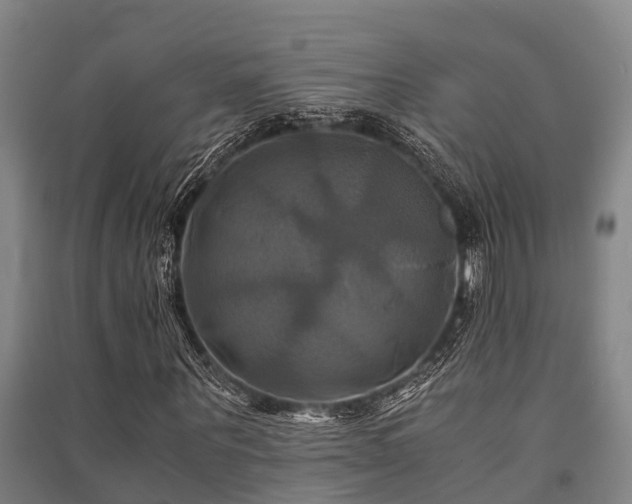 X0000091500867200708161457