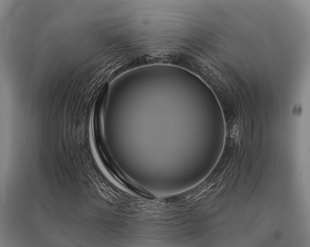 X0000091500868200708161457