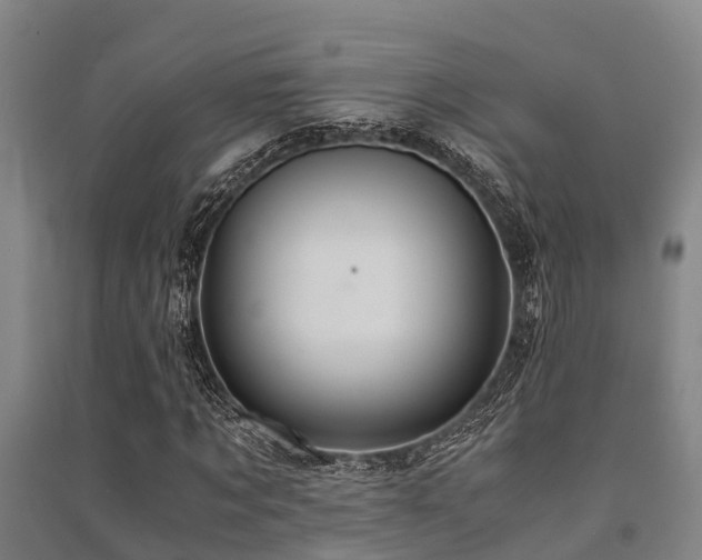 X0000091500869200708161457