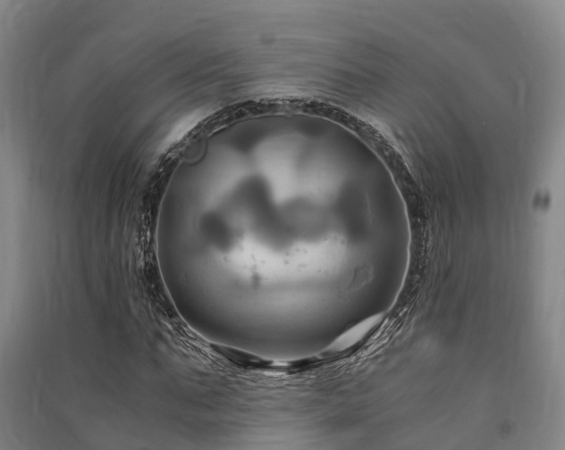 X0000091500871200708161456