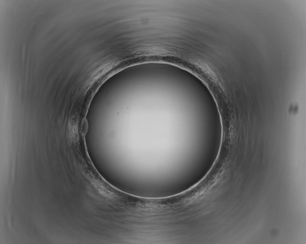 X0000091500873200708161456