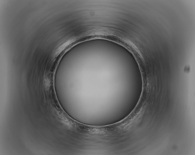 X0000091500874200708161456