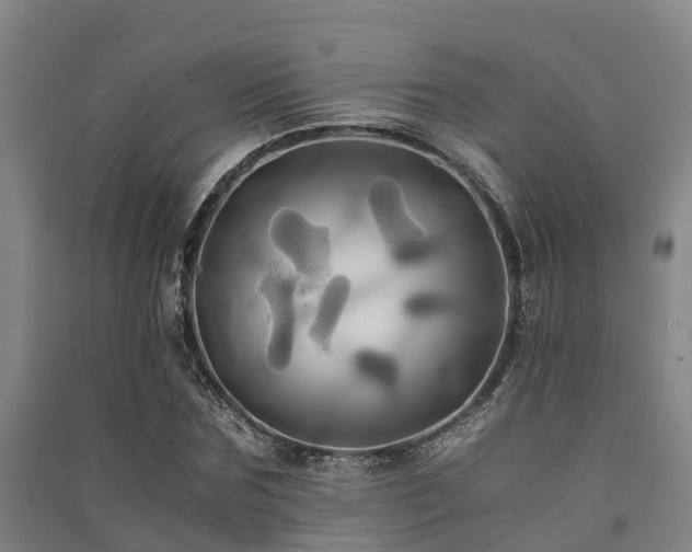 X0000091500875200708161456
