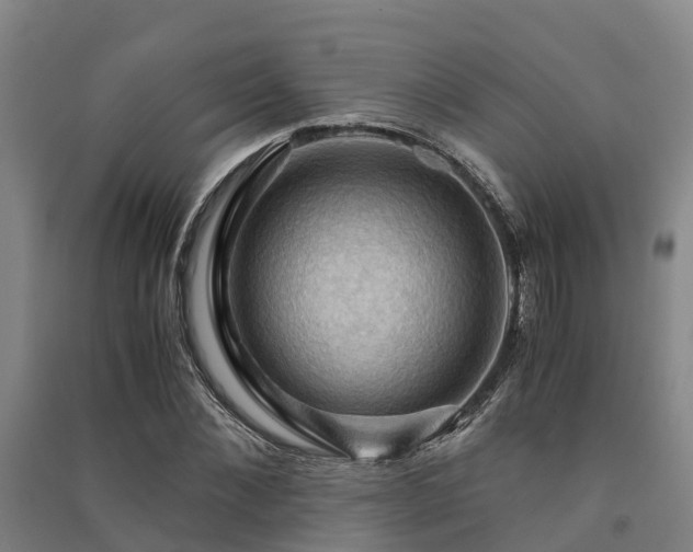 X0000091500876200708161456
