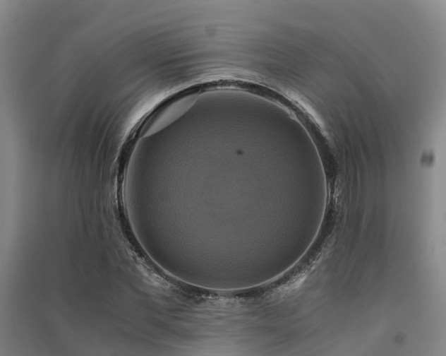 X0000091500877200708161456