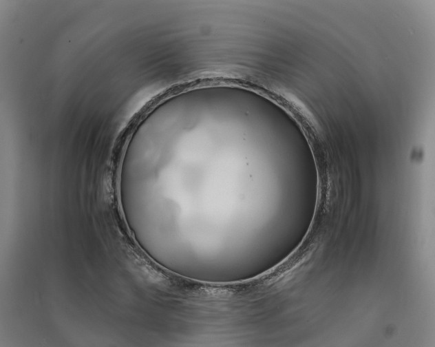 X0000091500878200708161456