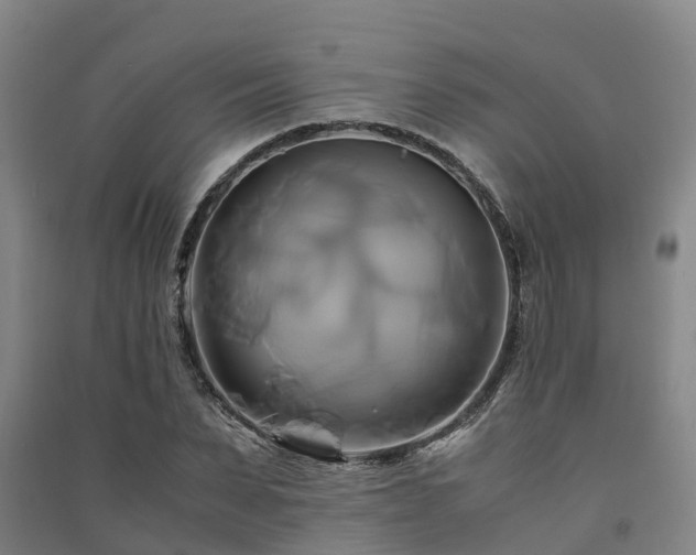 X0000091500879200708161456