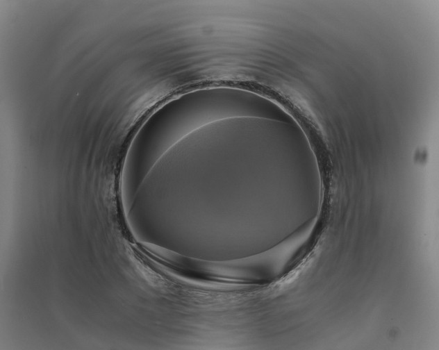 X0000091500881200708161456