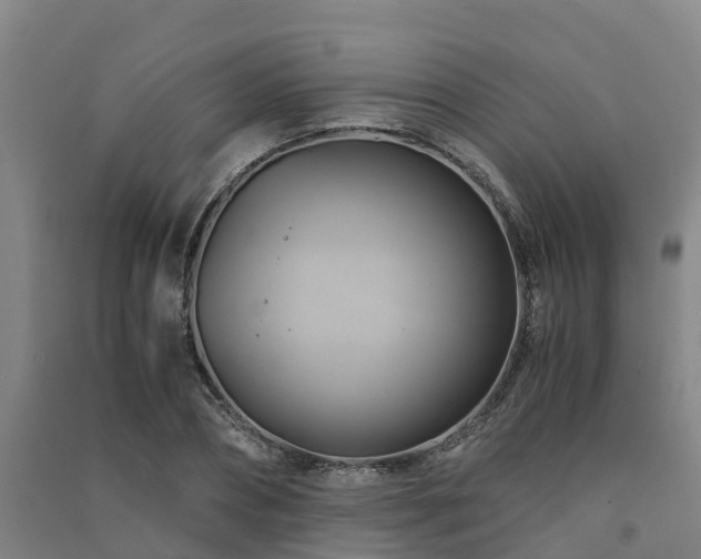 X0000091500882200708161456