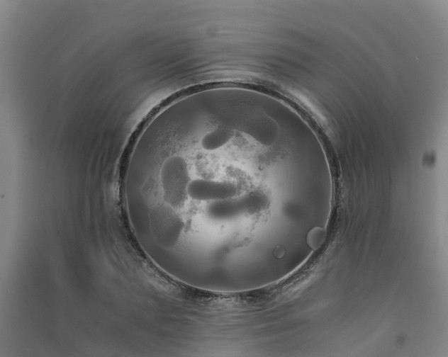 X0000091500883200708161456