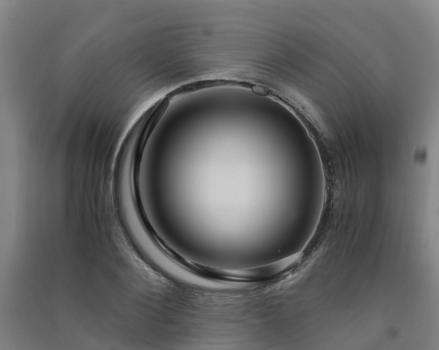 X0000091500884200708161456