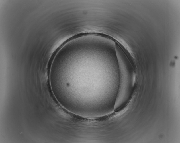 X0000091500885200708161456