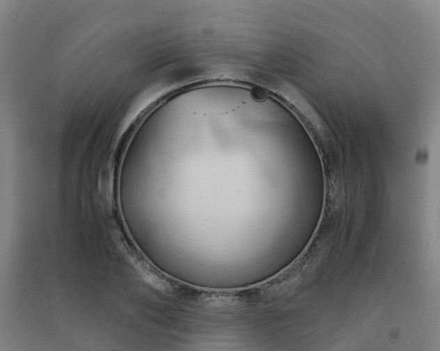 X0000091500886200708161456
