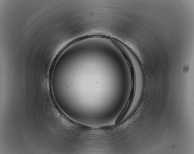 X0000091500888200708161456