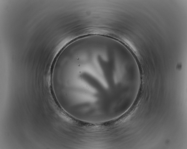 X0000091500891200708161456