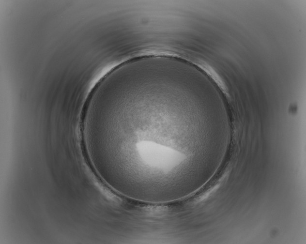X0000091500893200708161456