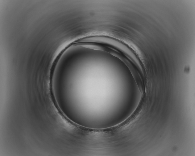 X0000091500894200708161456