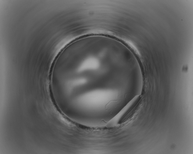 X0000091500895200708161456