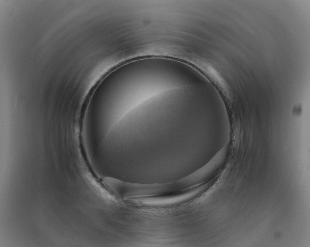 X0000091500896200708161456