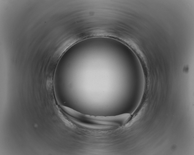 X0000091500897200708161456