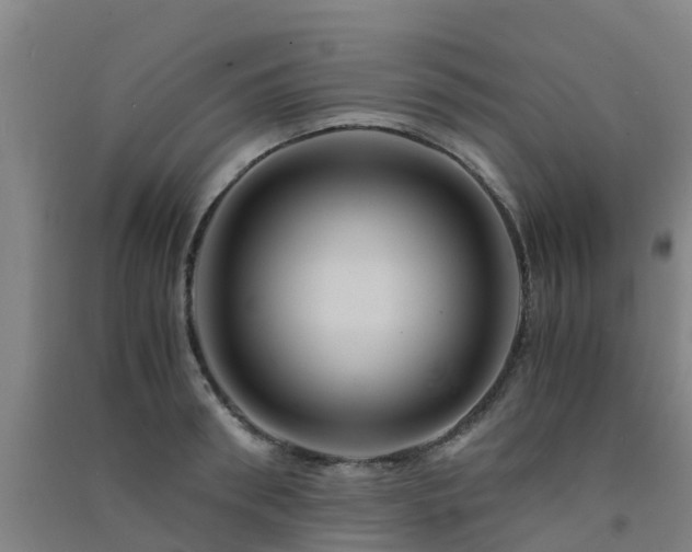 X0000091500898200708161456