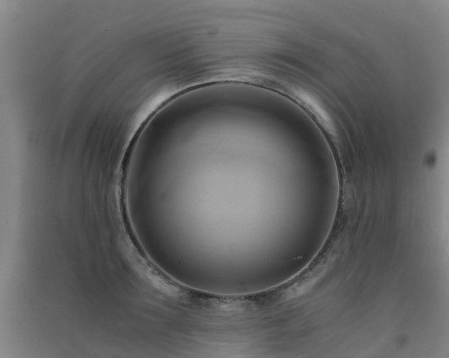 X0000091500899200708161456