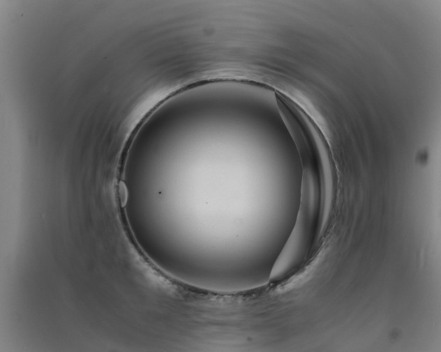 X0000091500901200708161456