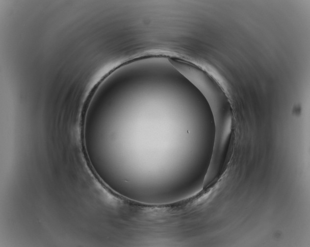 X0000091500902200708161456