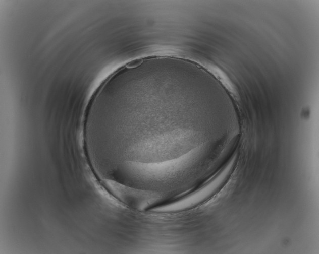X0000091500904200708161456