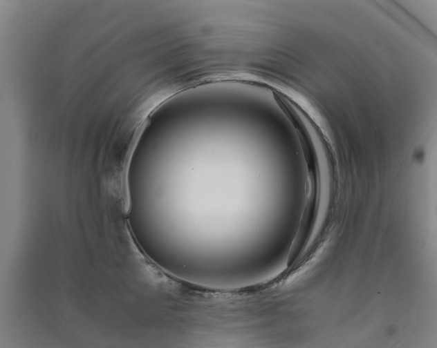 X0000091500905200708161456